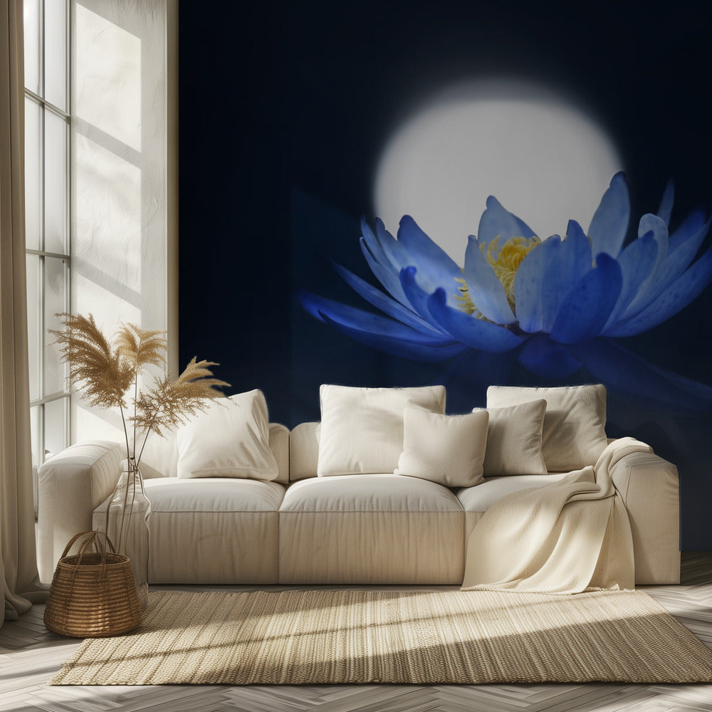 Fleeting dream | Wallpaper