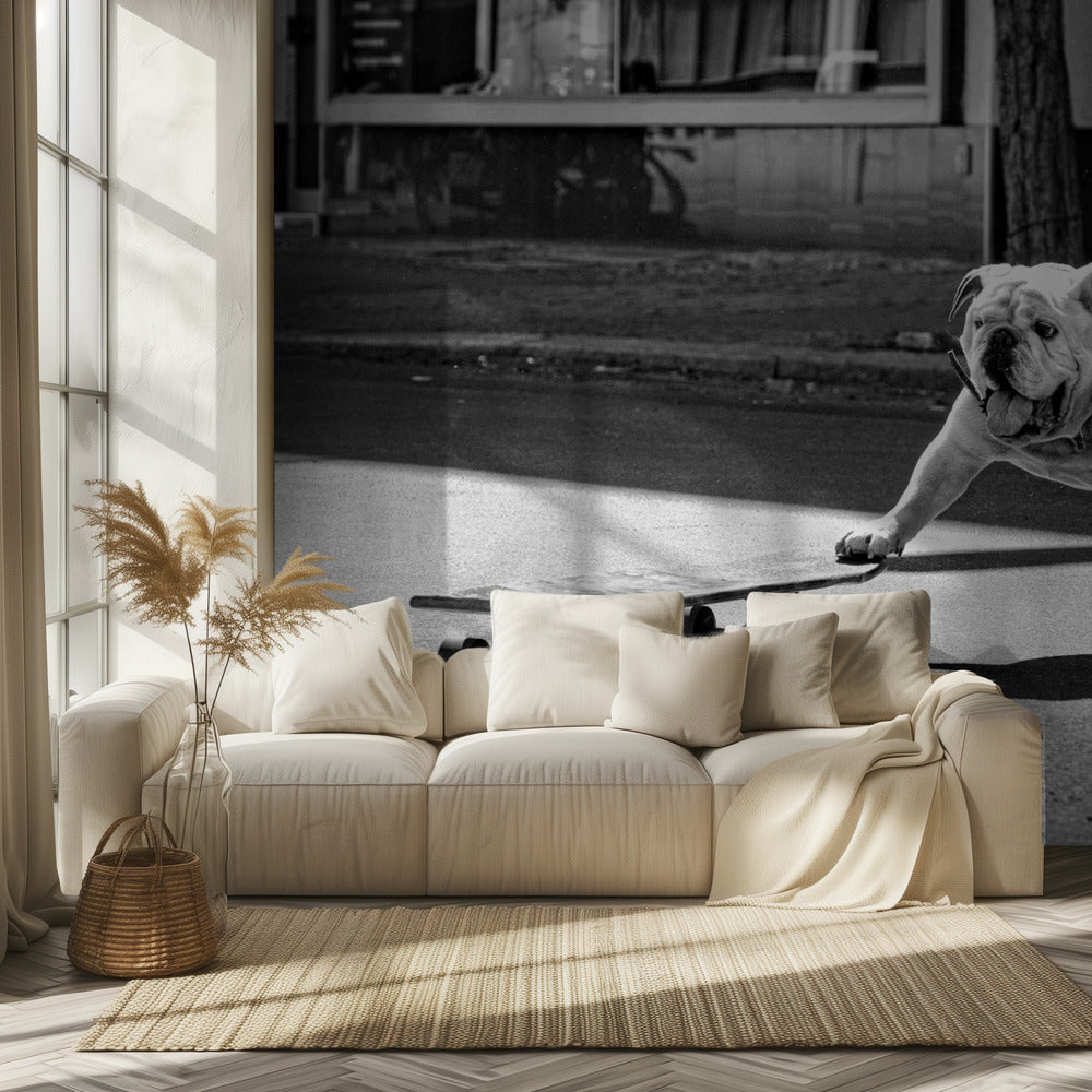 ... dogs just want to have fun ... | Wallpaper