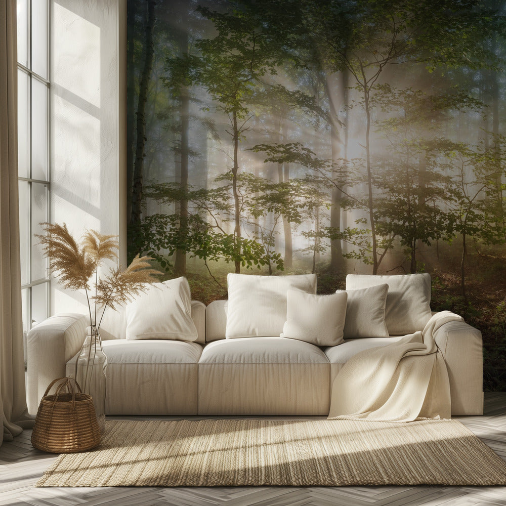 morning sun | Wallpaper