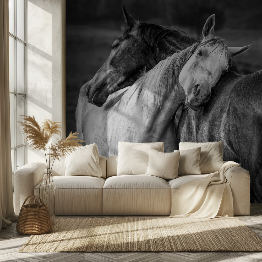 Warm rain | Wallpaper