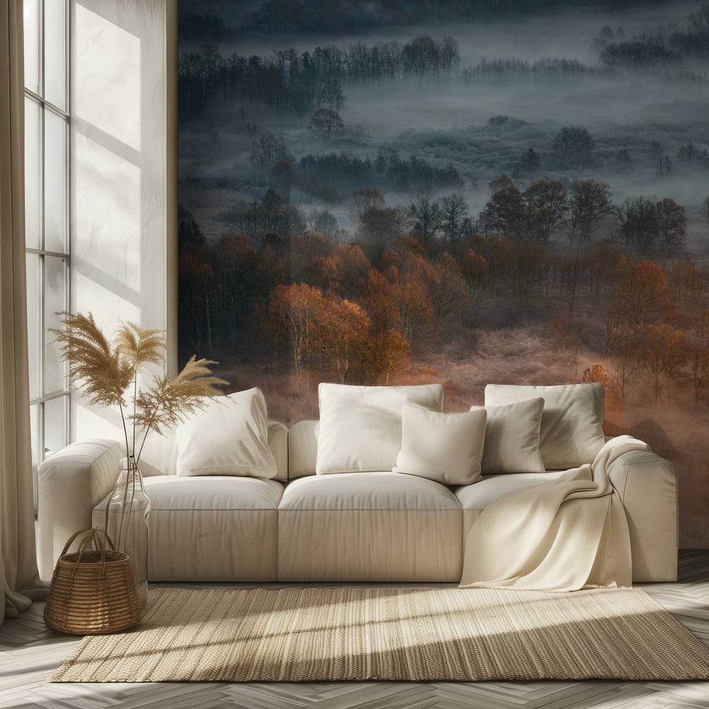 Autumnal misty dawn | Wallpaper