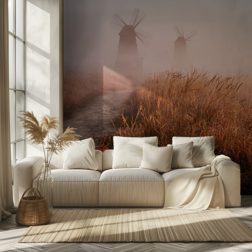 Morning mist | Wallpaper