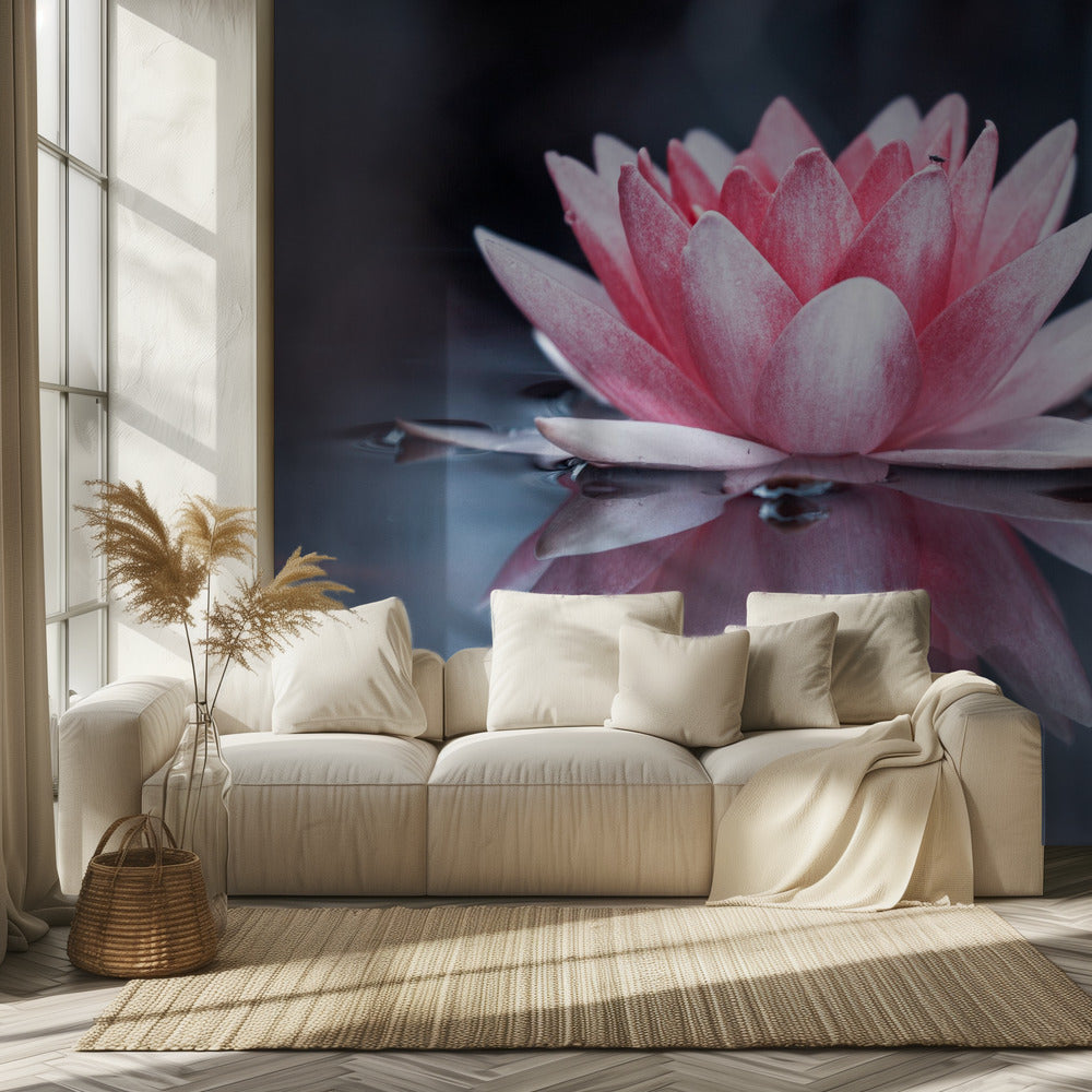 Padmasana | Wallpaper