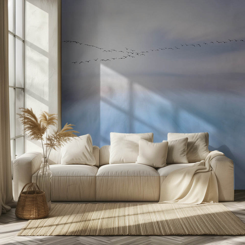 fly over | Wallpaper