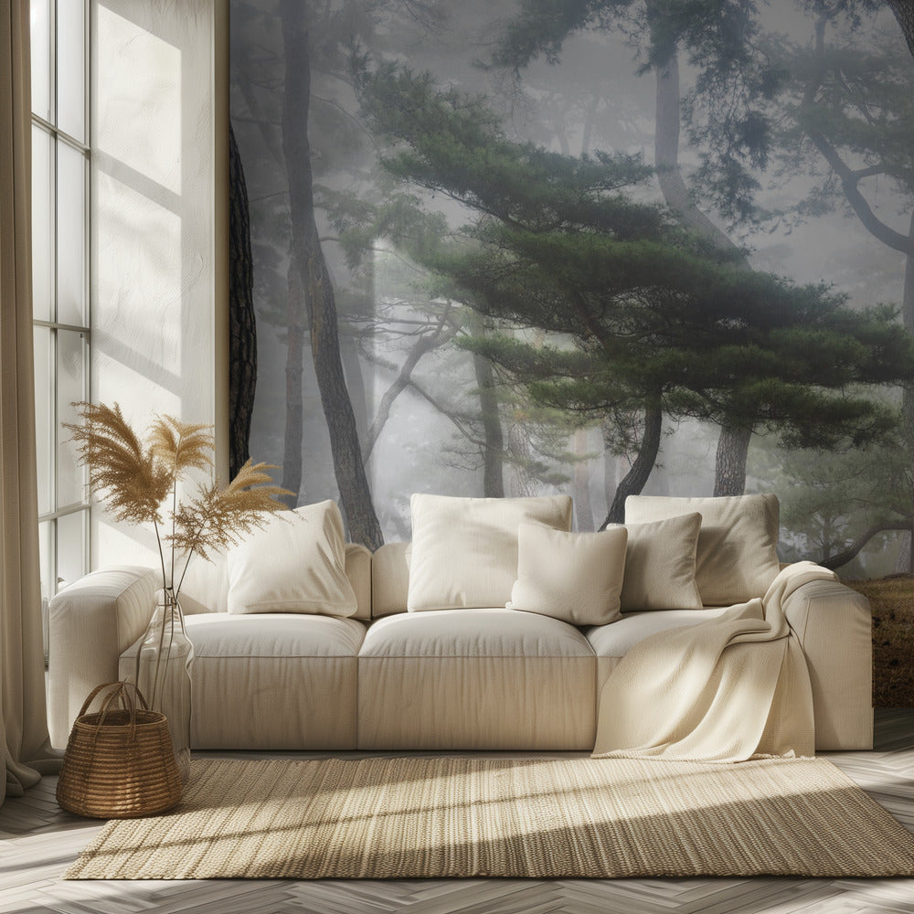 In The Misty Pine Forest | Wallpaper