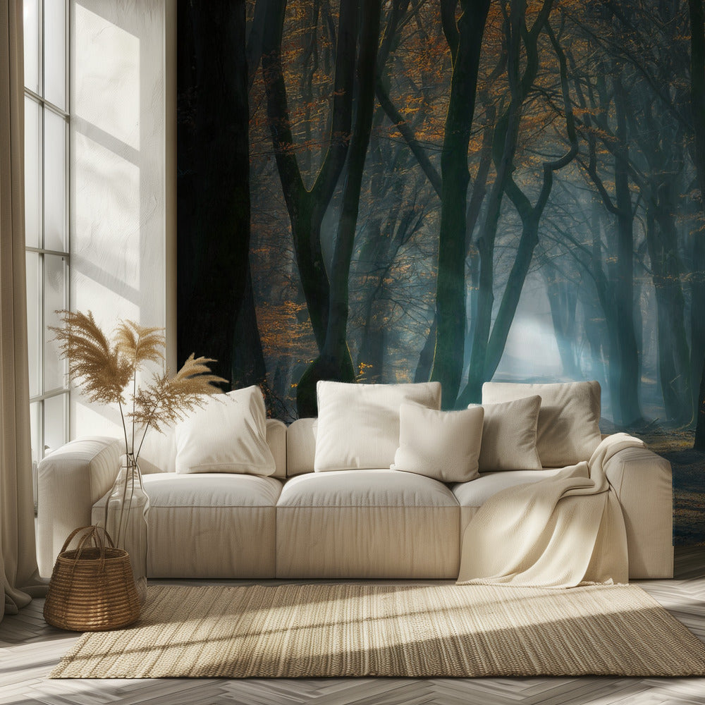 Cold Light | Wallpaper