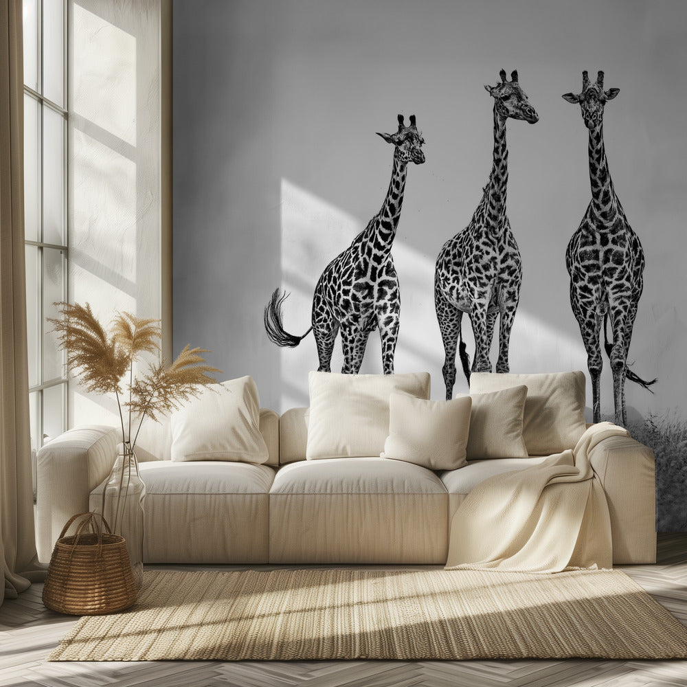 Giraffes in the  Mara plains | Wallpaper