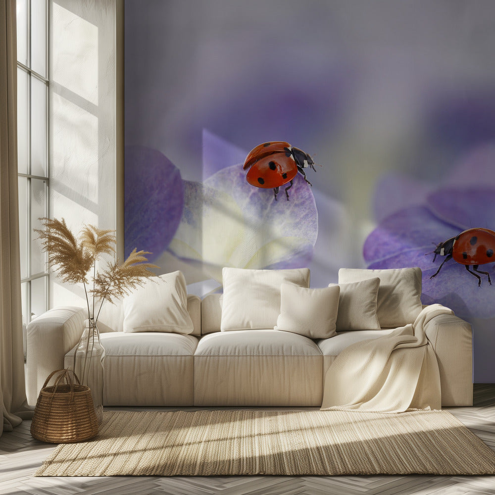 Red and purple | Wallpaper