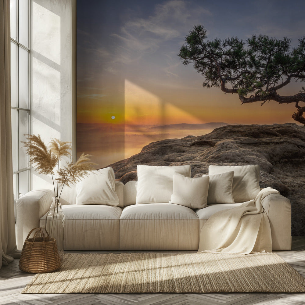 Old pine | Wallpaper