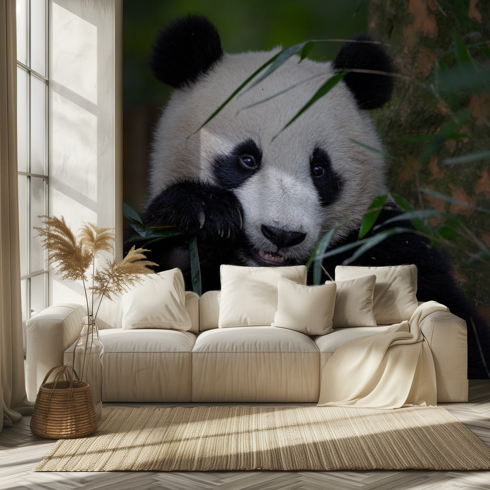 Bamboo Time | Wallpaper