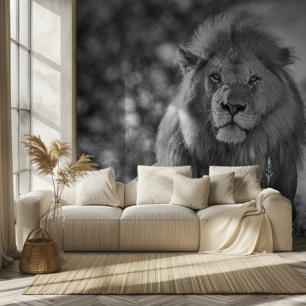 Monochromatic lion king | Wallpaper