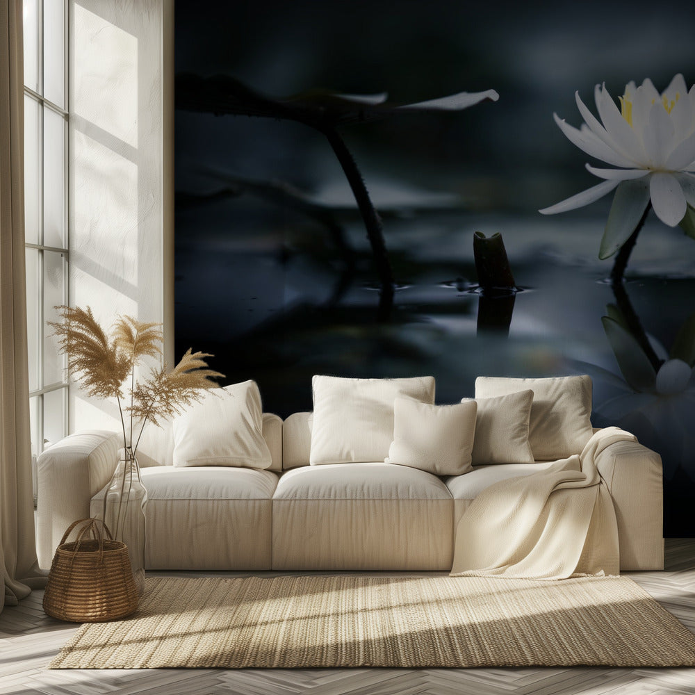 Reflection | Wallpaper