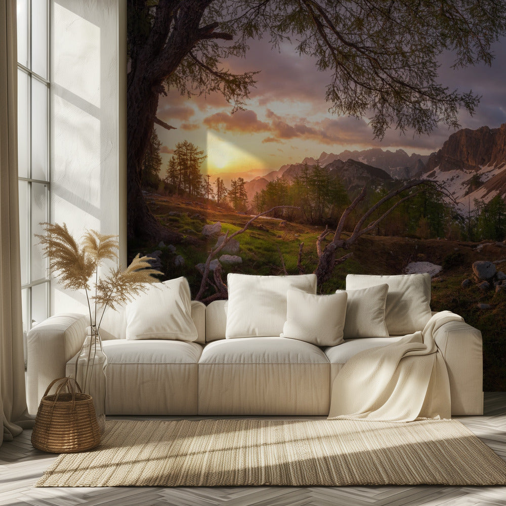 Magical morning | Wallpaper