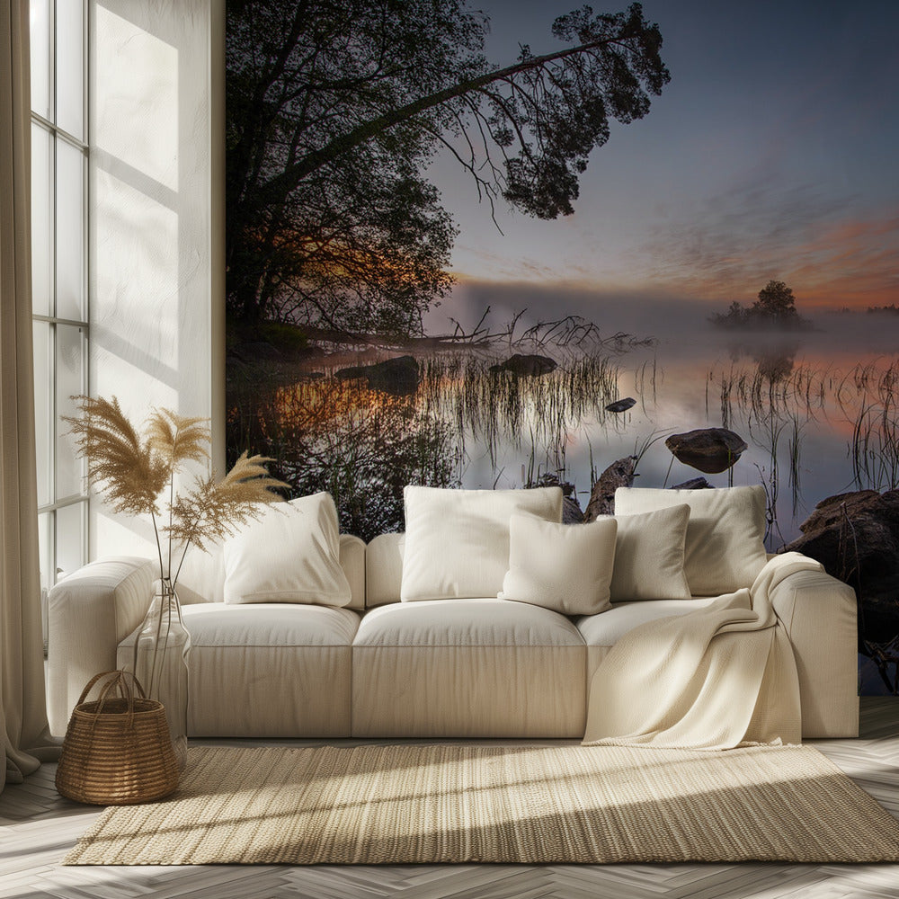 peaceful morning | Wallpaper