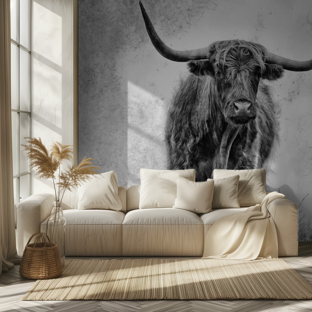 La force | Wallpaper