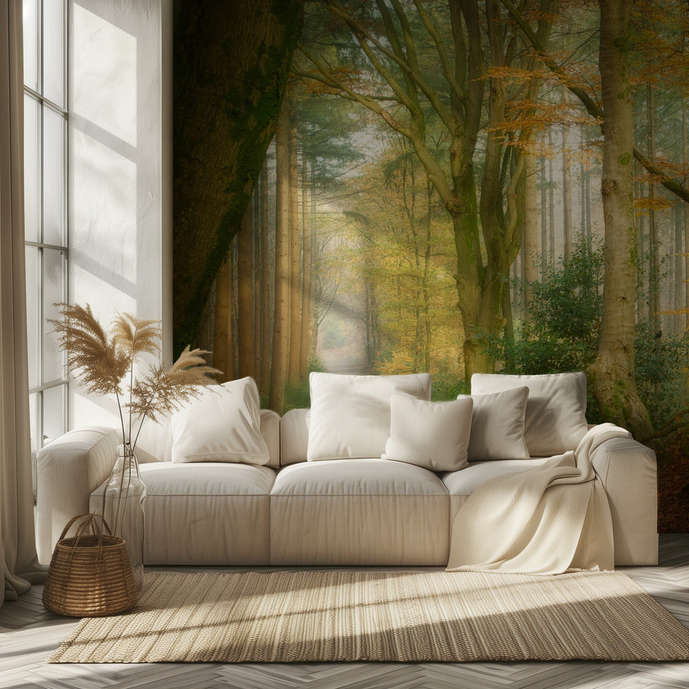 Following Fog | Wallpaper