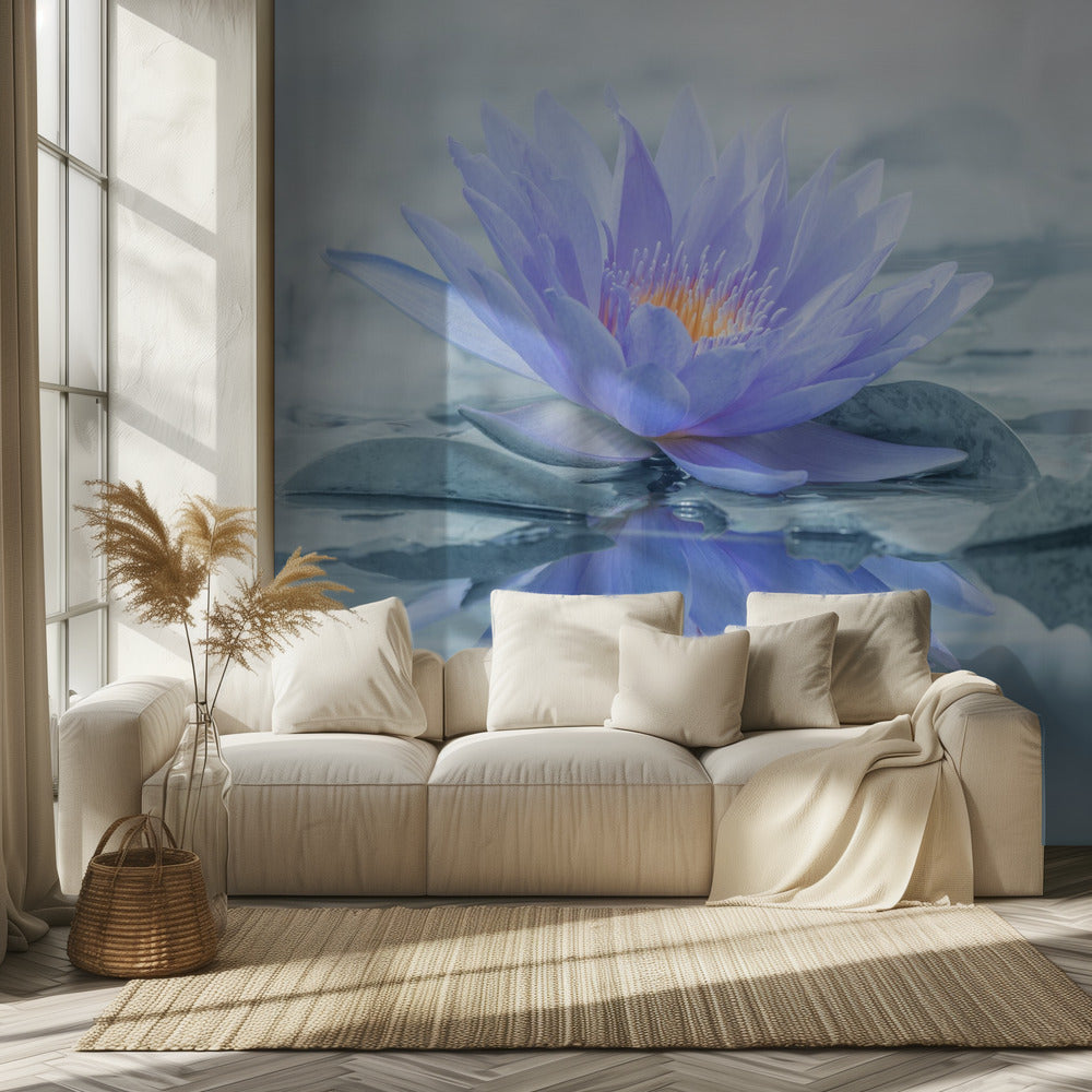 Reflection | Wallpaper