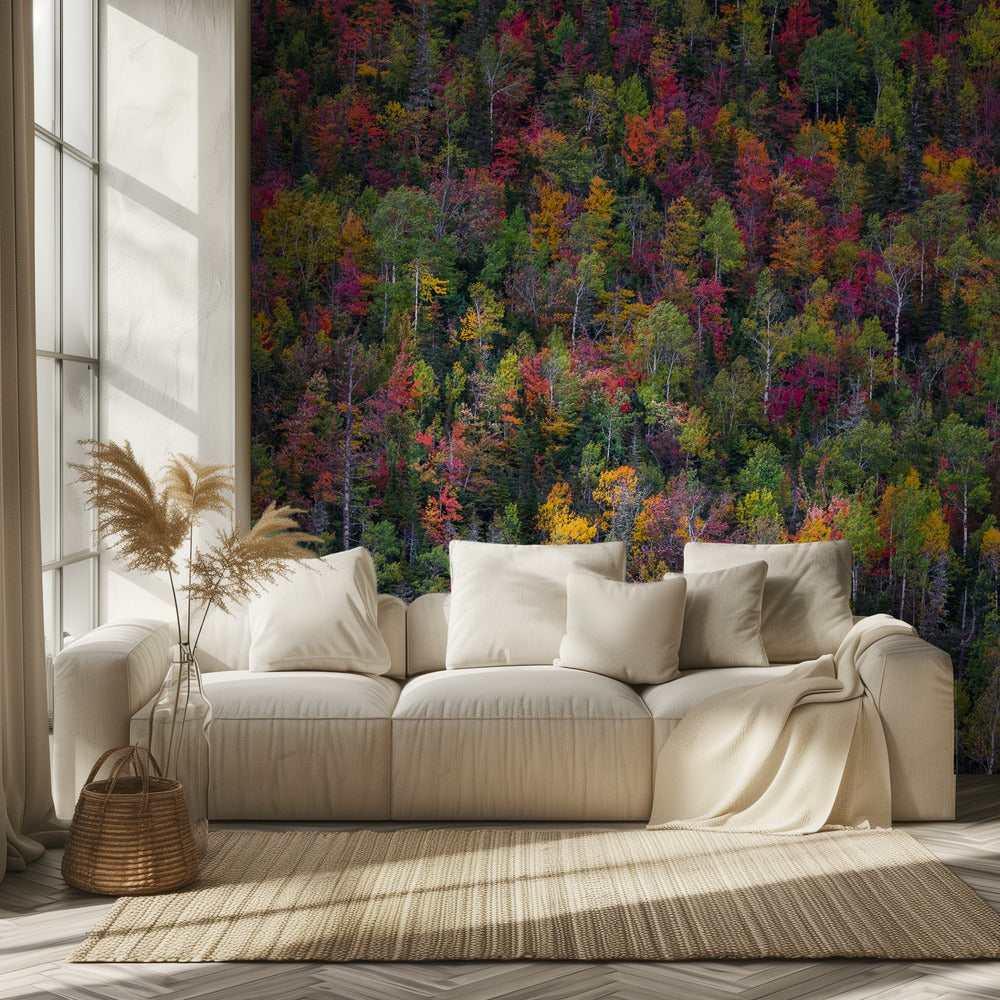 Color palette | Wallpaper