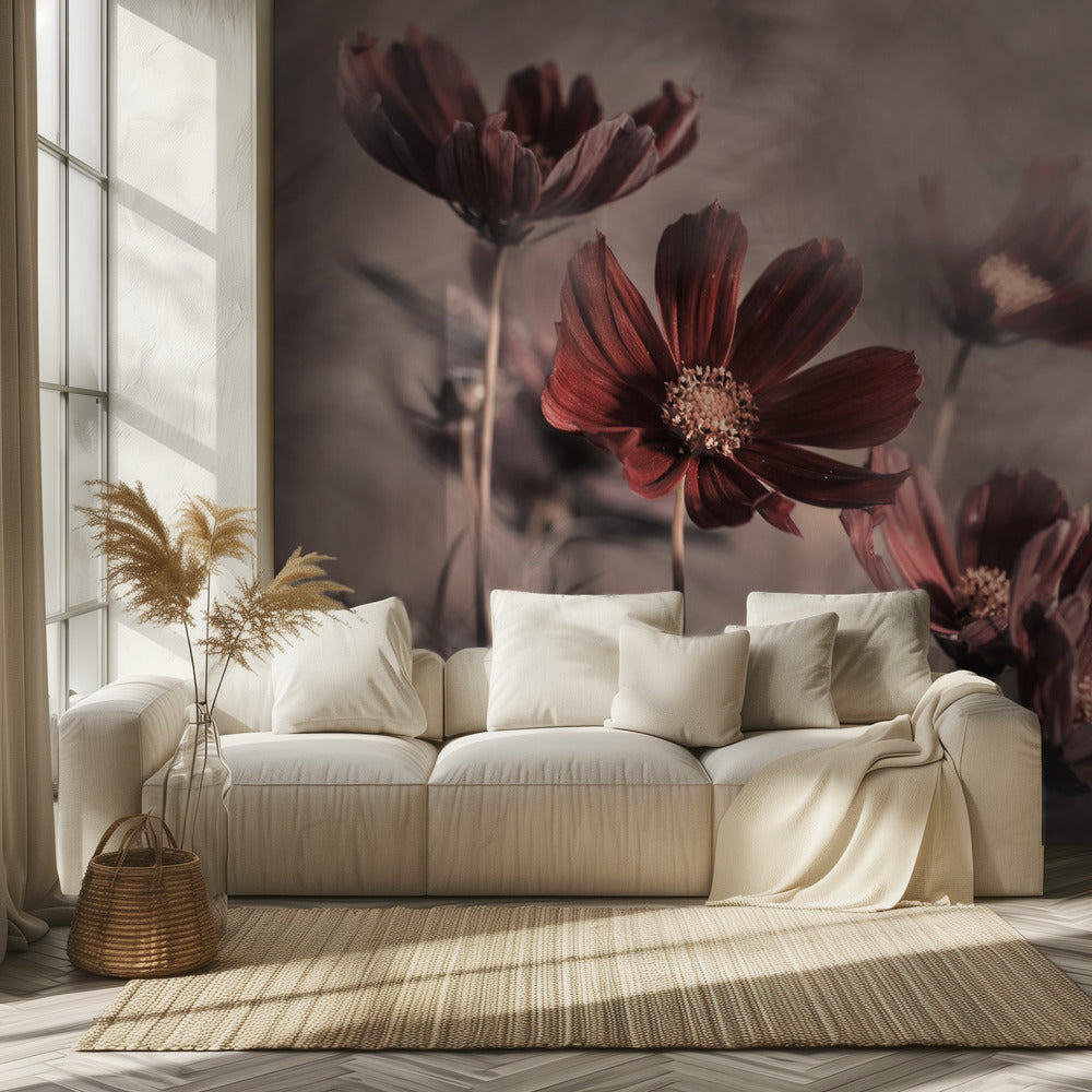 Cosmos 2019 | Wallpaper