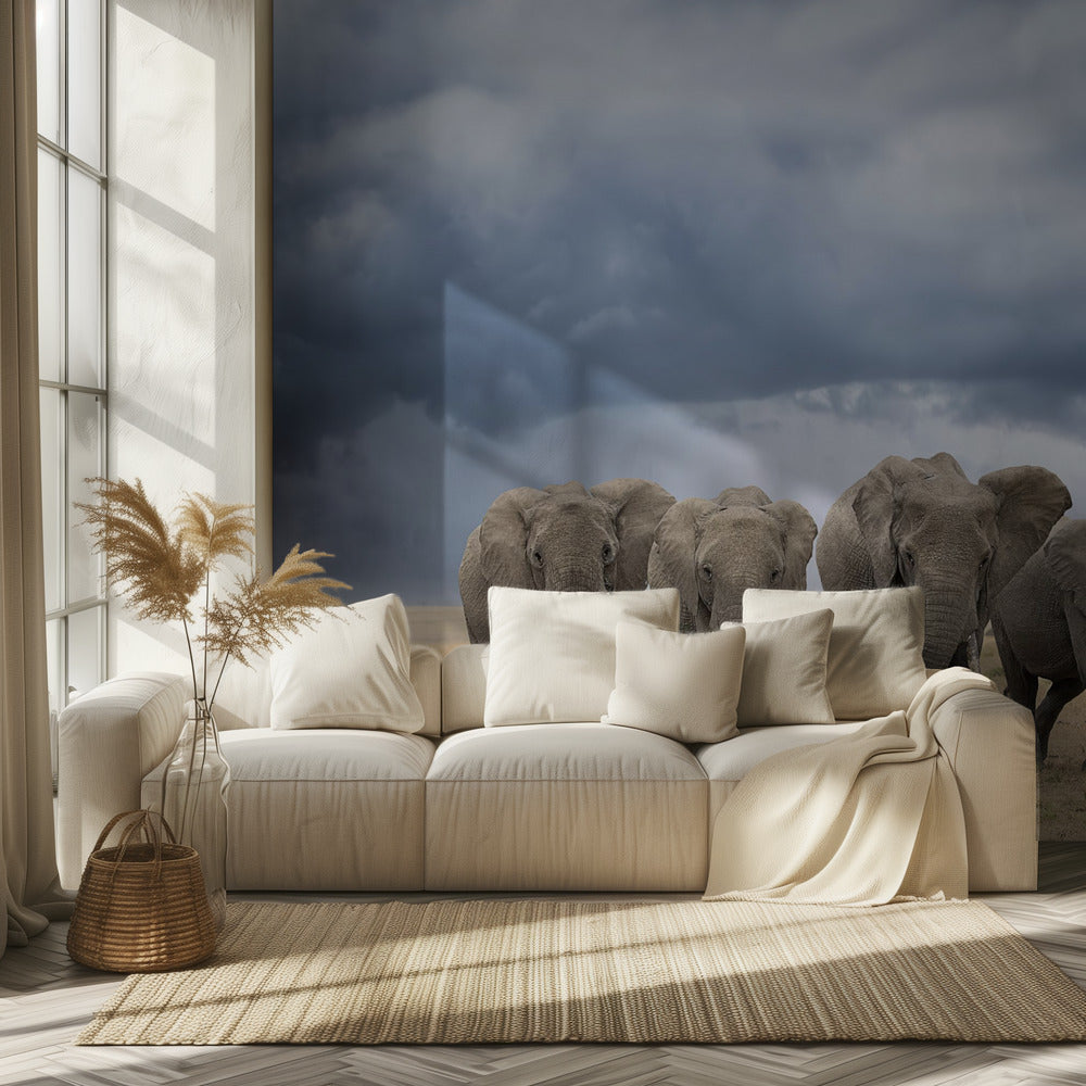 Elephant Walk | Wallpaper