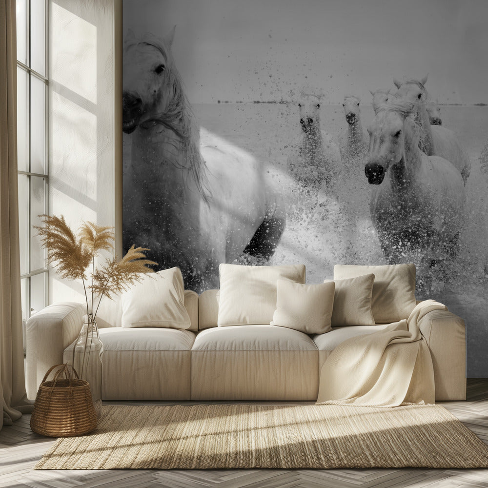 We are coming | Wallpaper