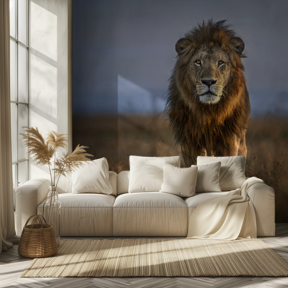 Lion Close Up | Wallpaper