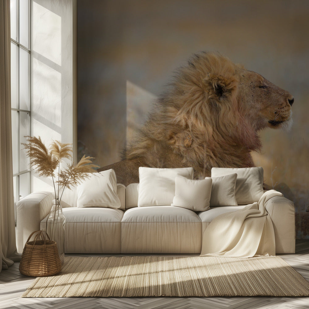 Male lion with cub | Wallpaper