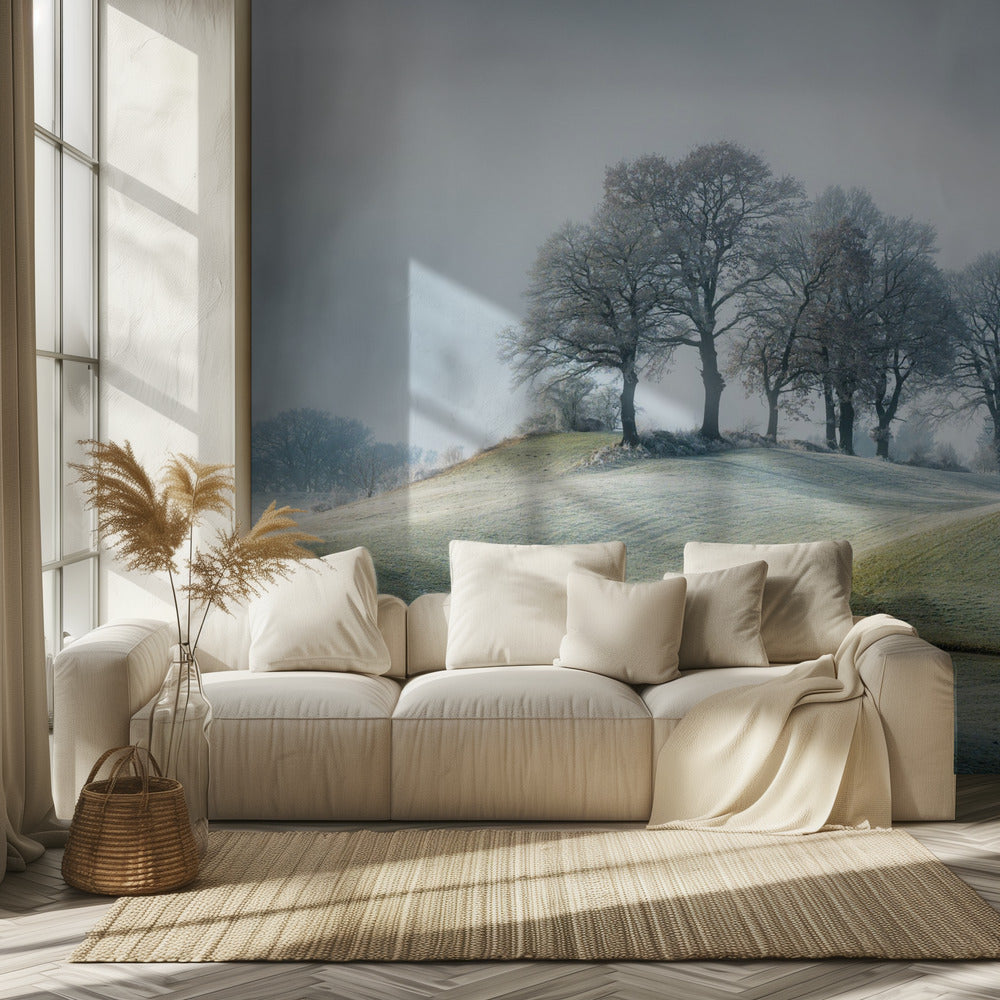 It is not in tuscany | Wallpaper