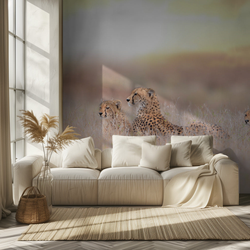 Cheetah Family | Wallpaper