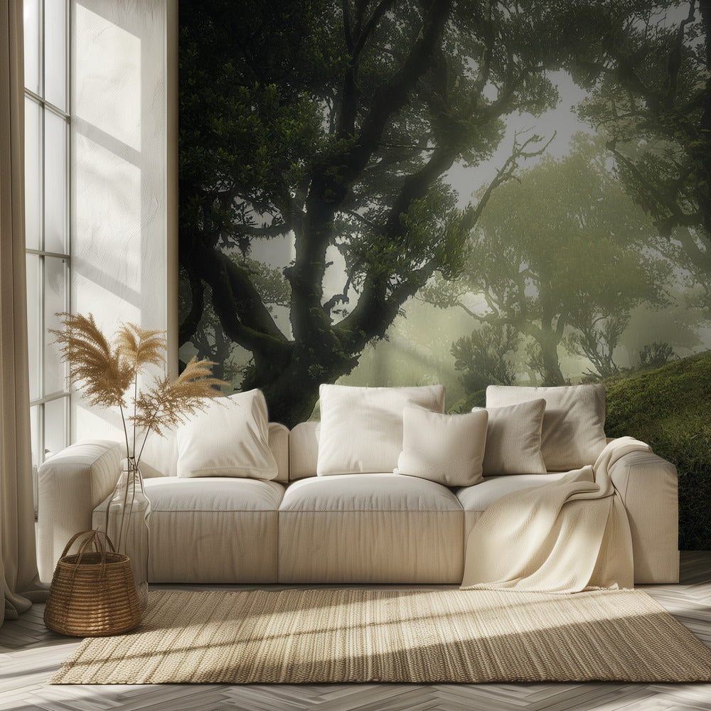 Enchanted Forest | Wallpaper