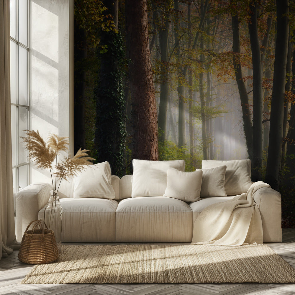 Autumn colorful forest | Wallpaper