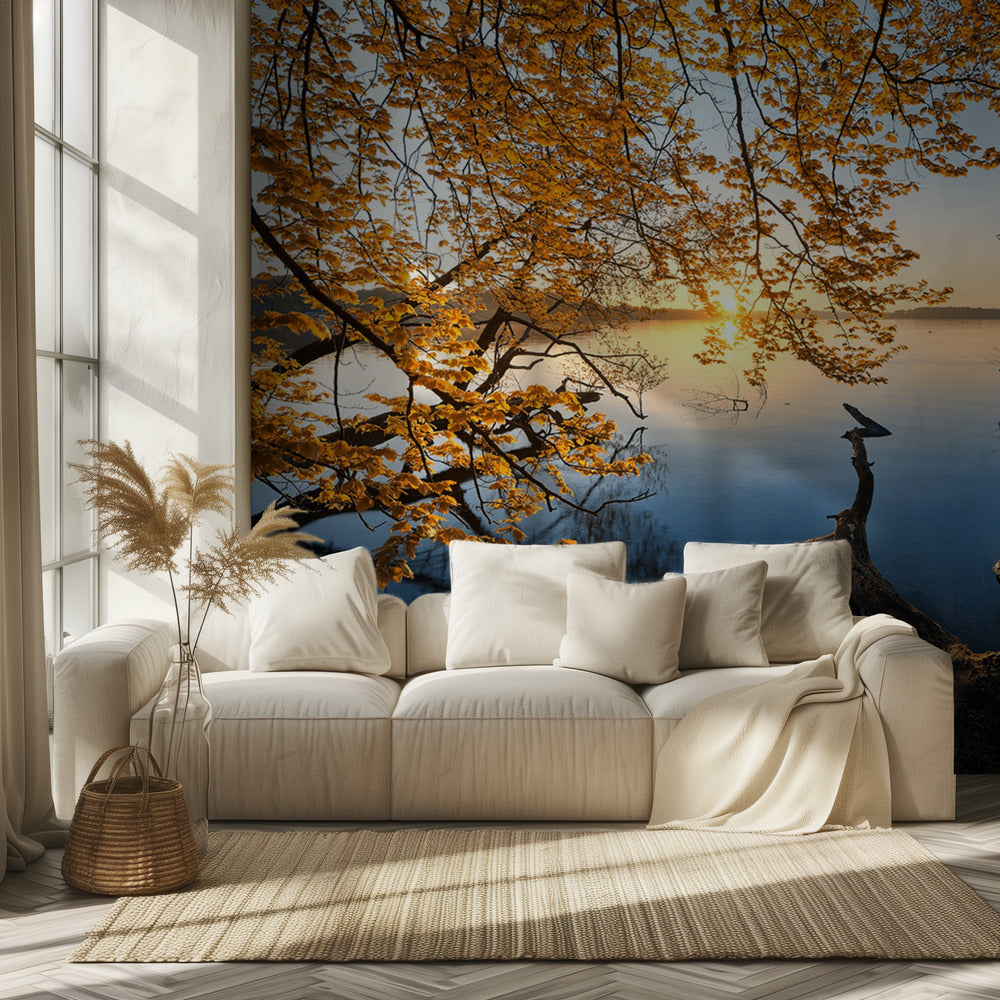 Autumn Morning | Wallpaper