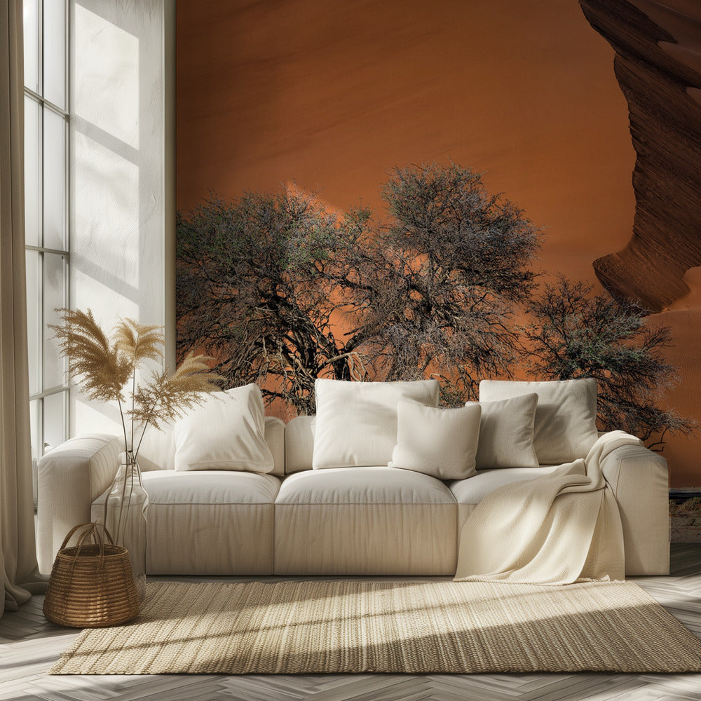 Acacia in the desert | Wallpaper