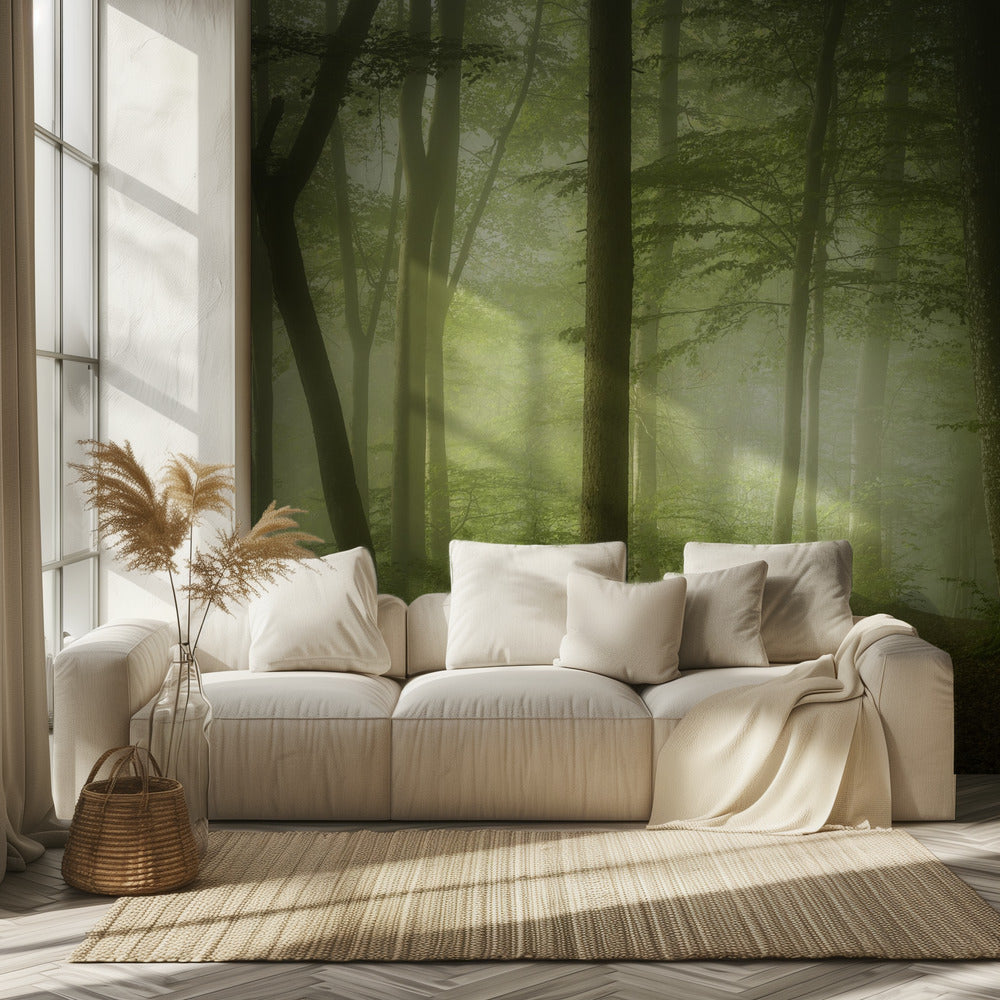 Mysterious Spring Morning | Wallpaper