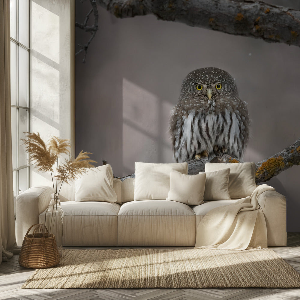 Little guy in the snow | Wallpaper