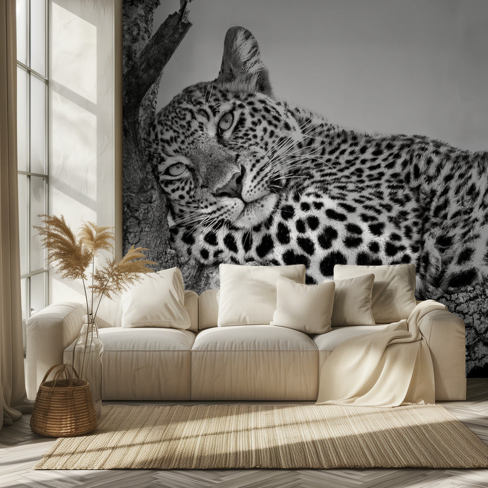 Time to rest | Wallpaper