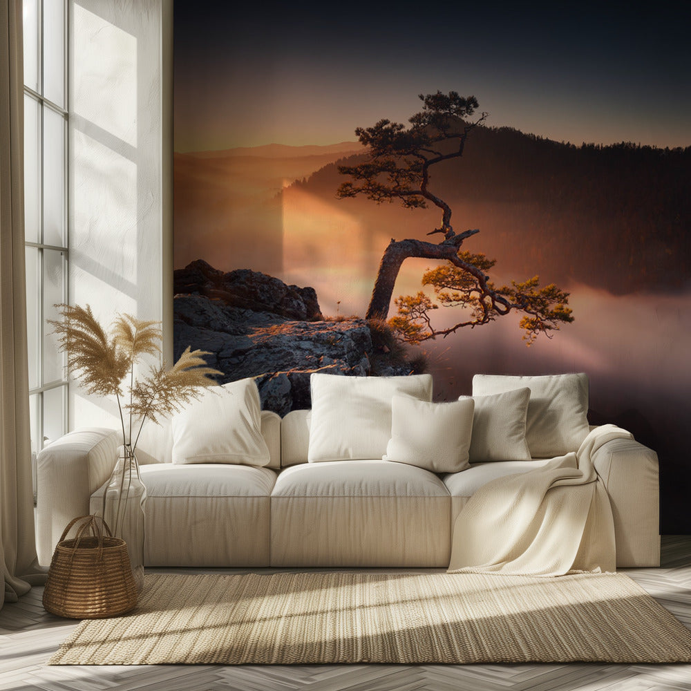 Sokolica | Wallpaper