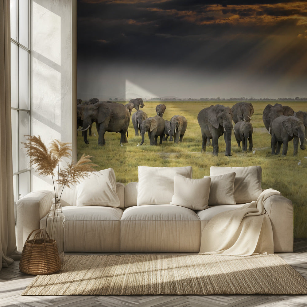 For the love of elephants | Wallpaper