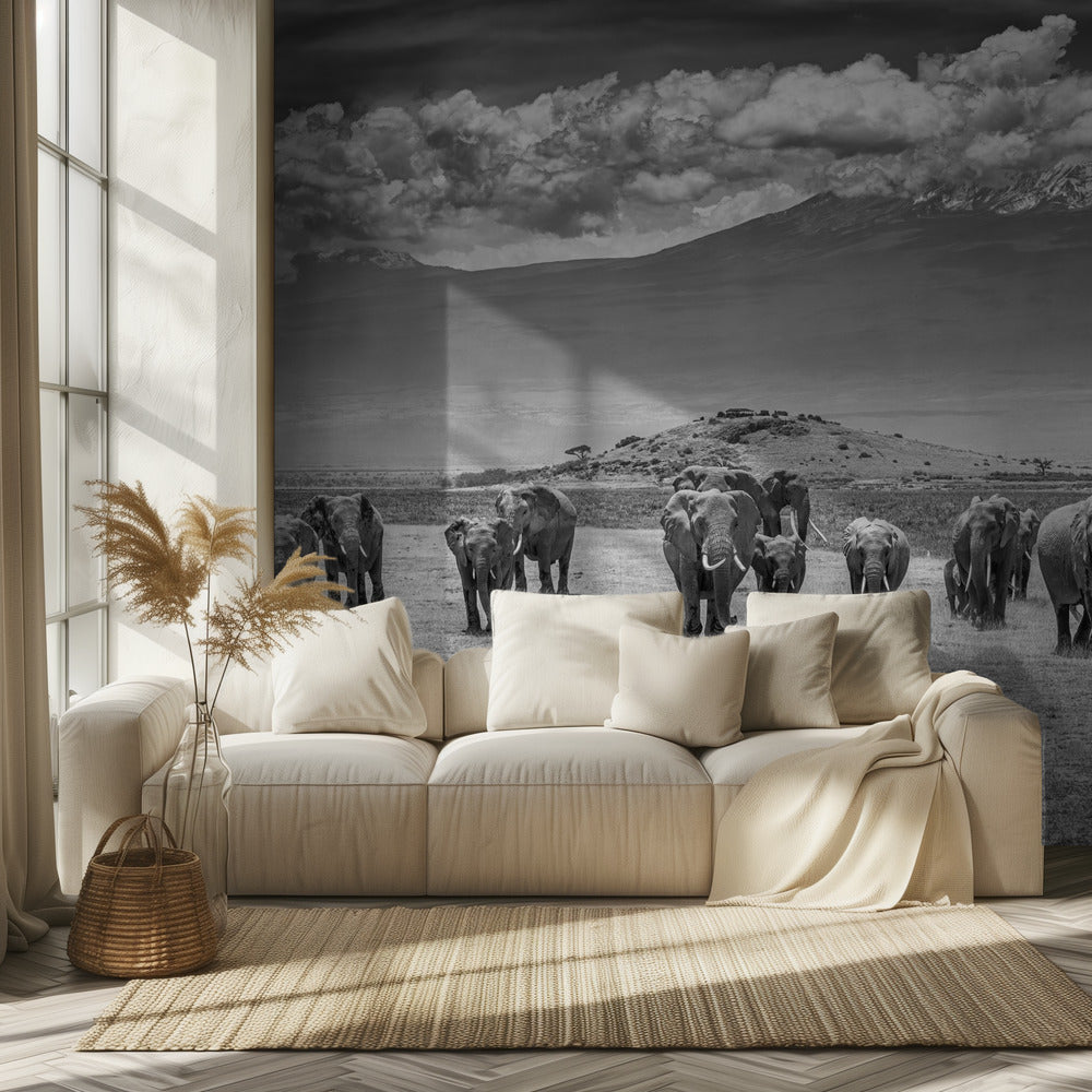 The Titans | Wallpaper