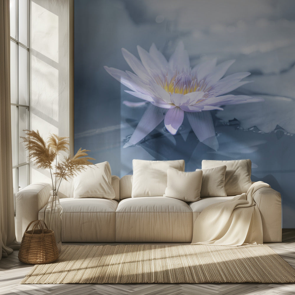 Reflection | Wallpaper