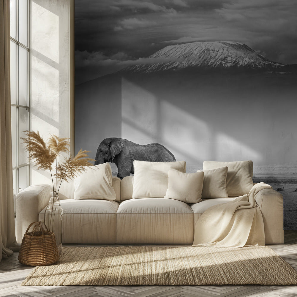 The land of giants | Wallpaper