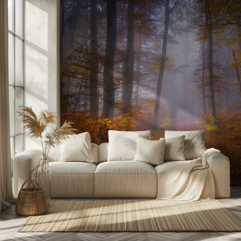 October Trail | Wallpaper