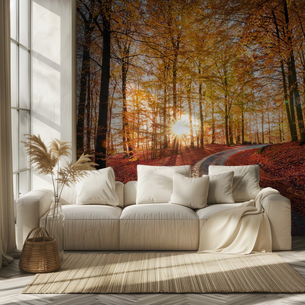 Road in SÃ¶derÃ¥sen nationalpark, Sweden | Wallpaper