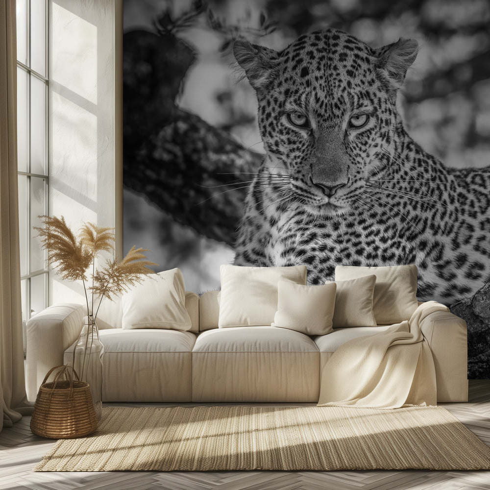 Monochrome beauty | Wallpaper