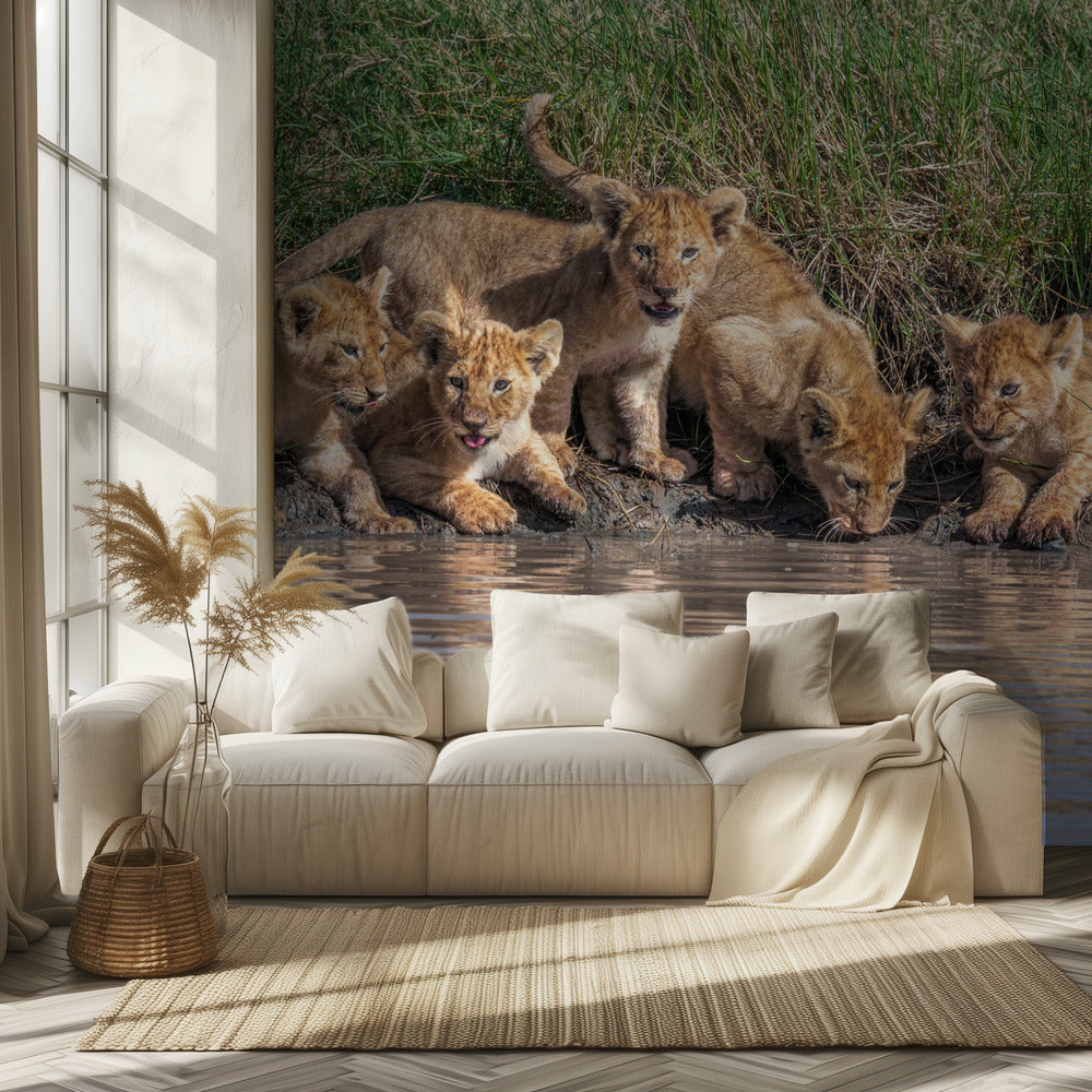 Putting the band back together.... | Wallpaper