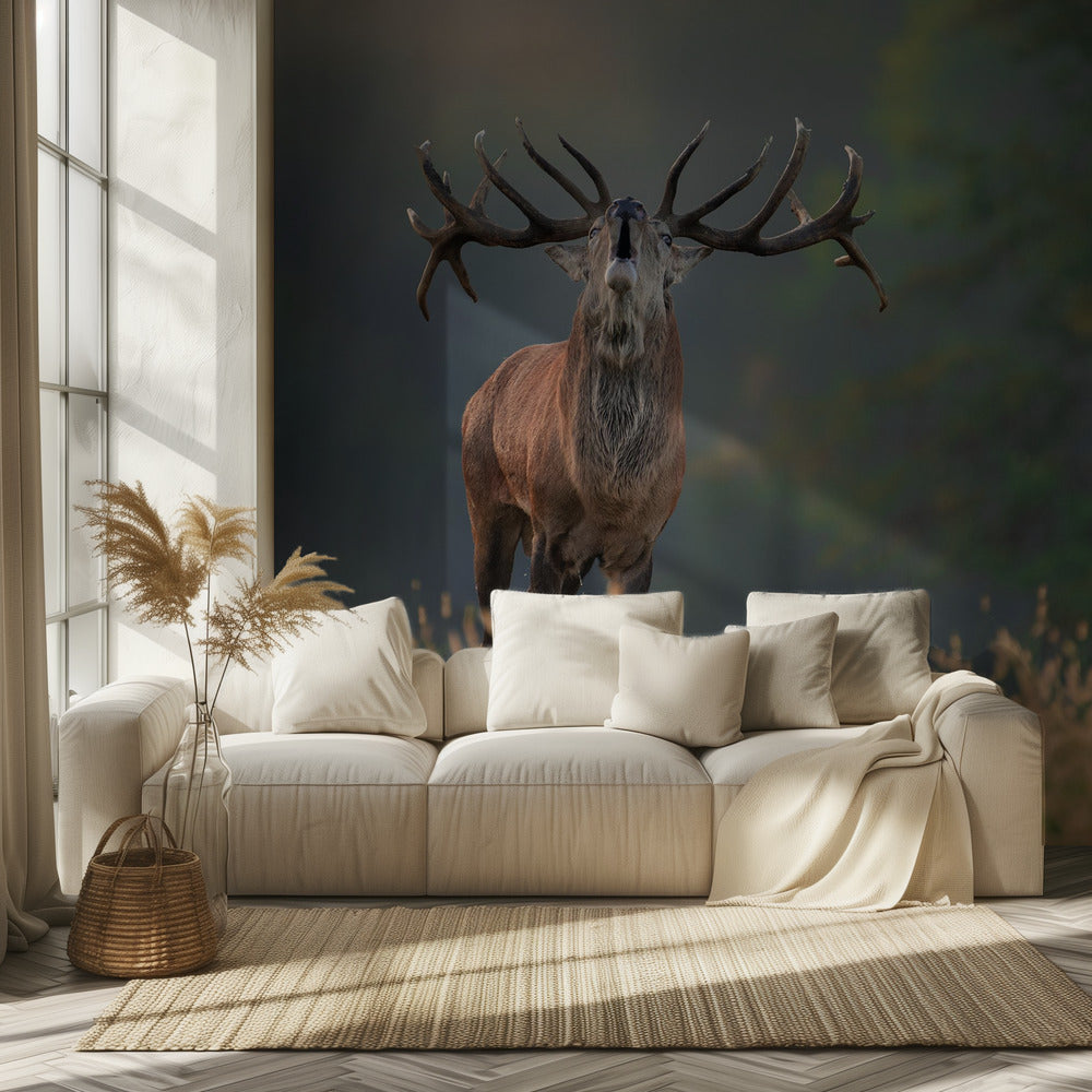 Deer wedding Song | Wallpaper