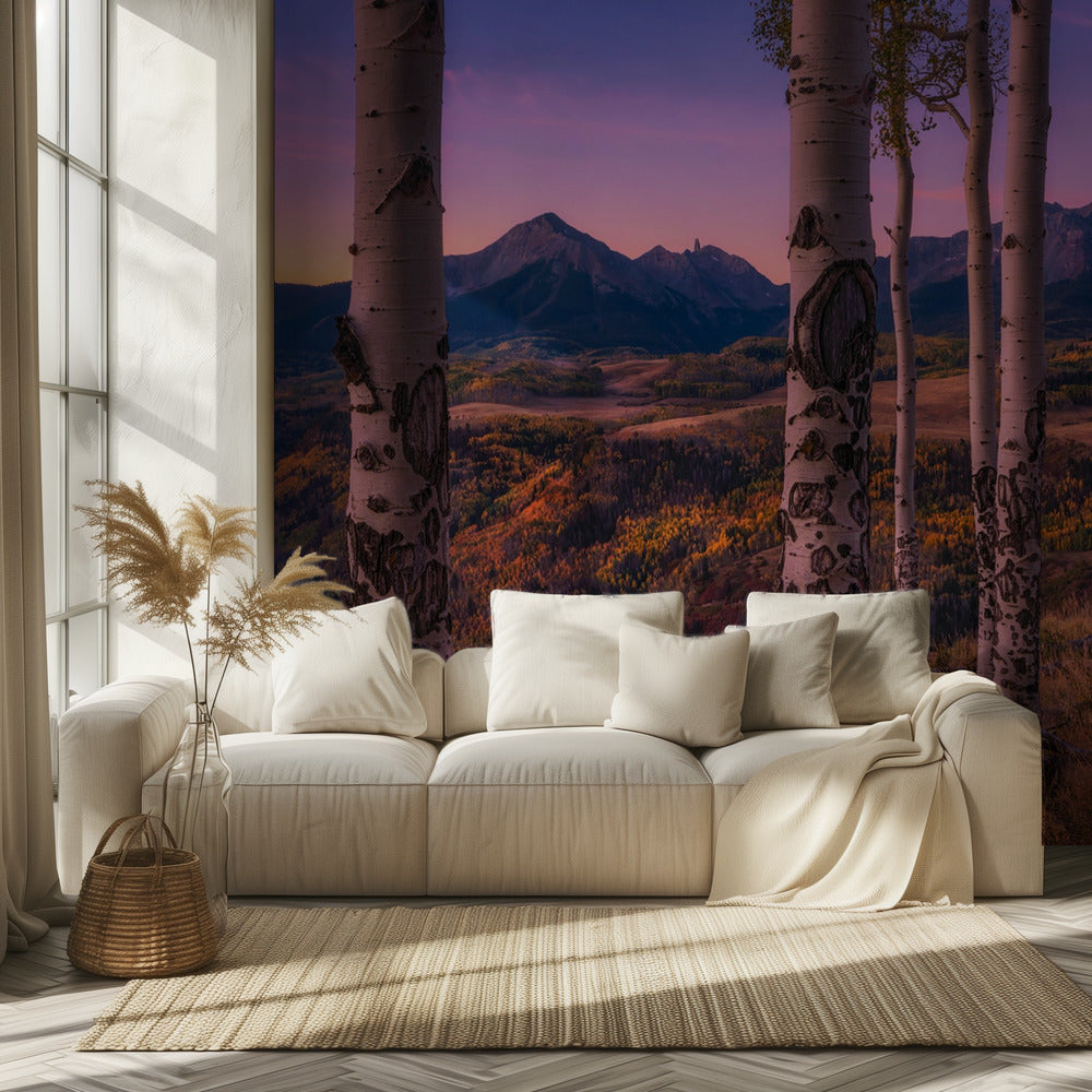 Aspen Frames | Wallpaper