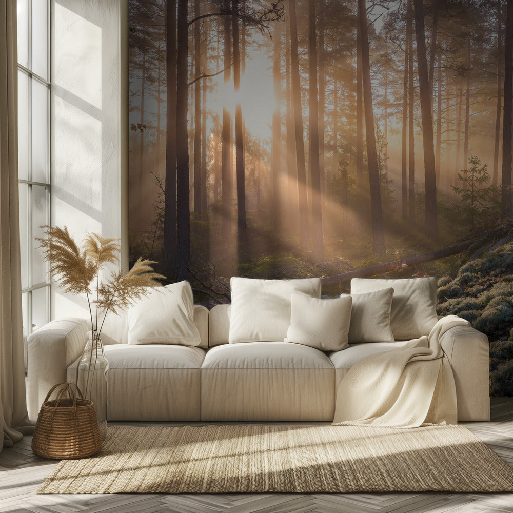 Fog in the forest with white moss in the forground | Wallpaper