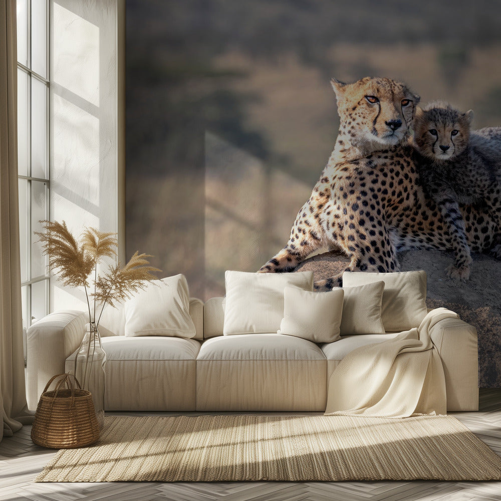 Cheetah and cup! | Wallpaper