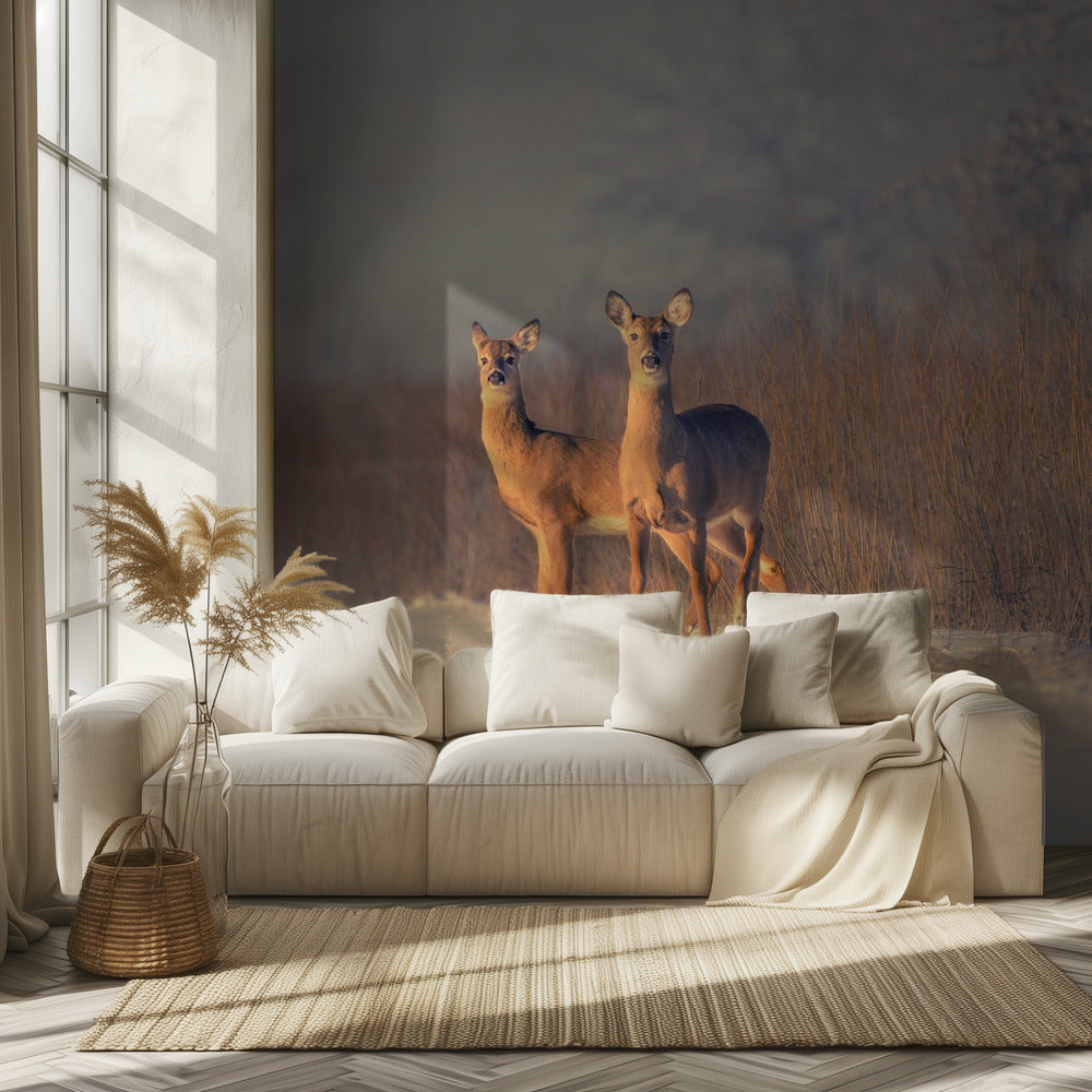 Three Deer | Wallpaper